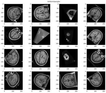 Sample slices from volumes
